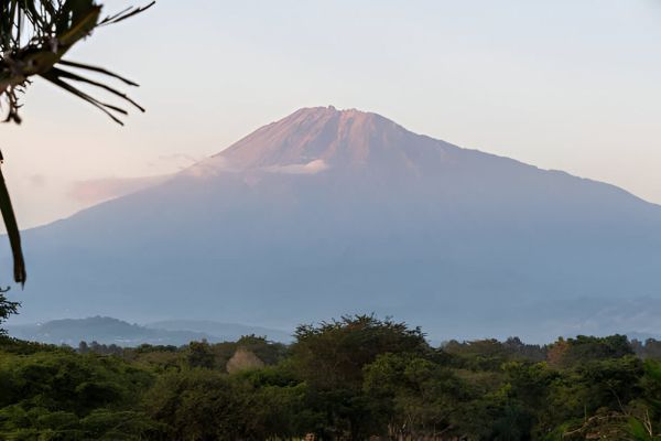 Arusha National Park