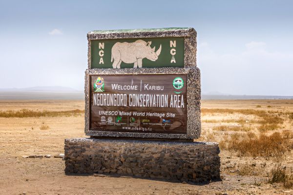 Scenic view of Ngorongoro Crater with wildlife