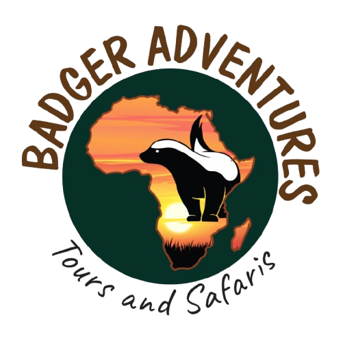 Badger Adventures